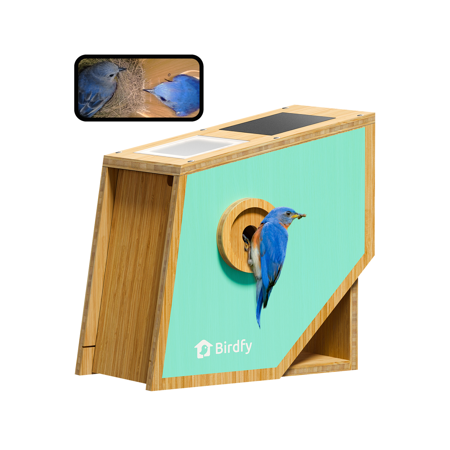 Birdfy Nest Polygon - Intelligentes Vogelhaus mit Kamera