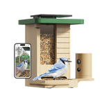 Birdfy Feeder Wood – Holziger Smart-Fütterer mit Kamera