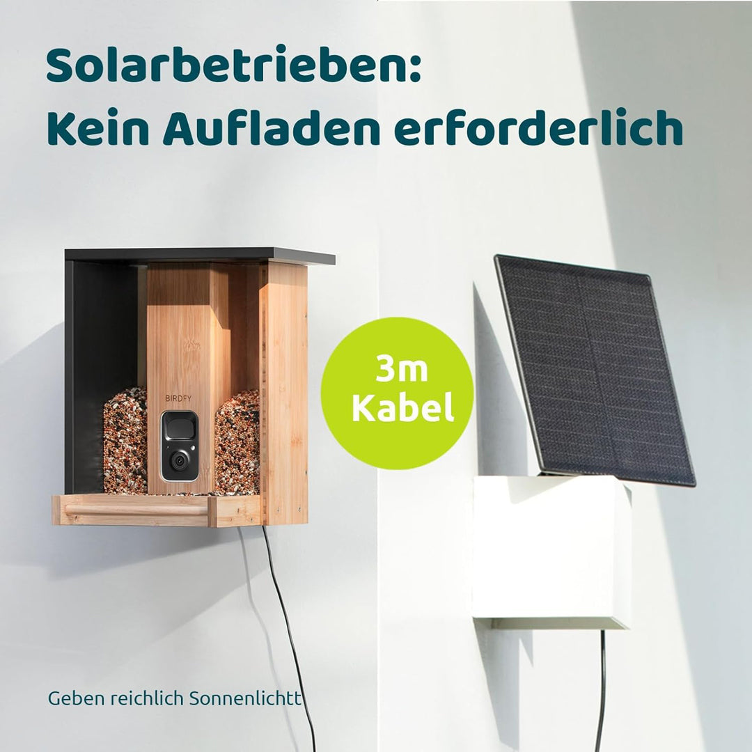 Birdfy Feeder Bamboo- Ökologischer Vogel-Fütterer mit Kamera