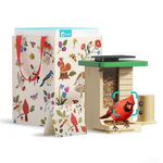 Birdfy Feeder Wood - Geschenkpaket
