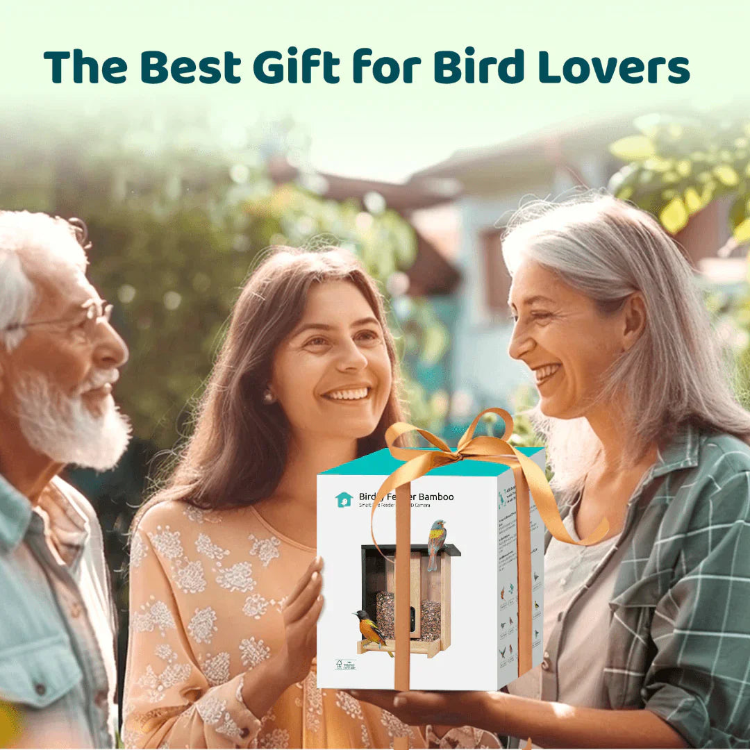 Valentinstagsgeschenke für Sie: Von Schmuck bis Vogelhäuschen