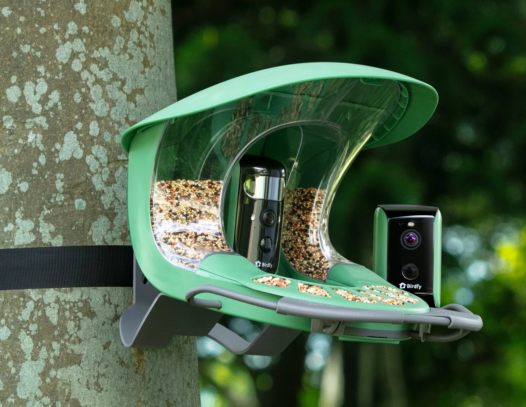 Wie zieht man Vögel zu Futterstellen an?