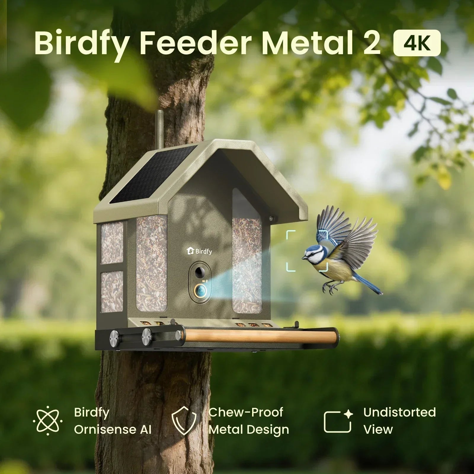 Birdfy Metal 2 4K startet in Großbritannien: Smarter Vogelfutterspender