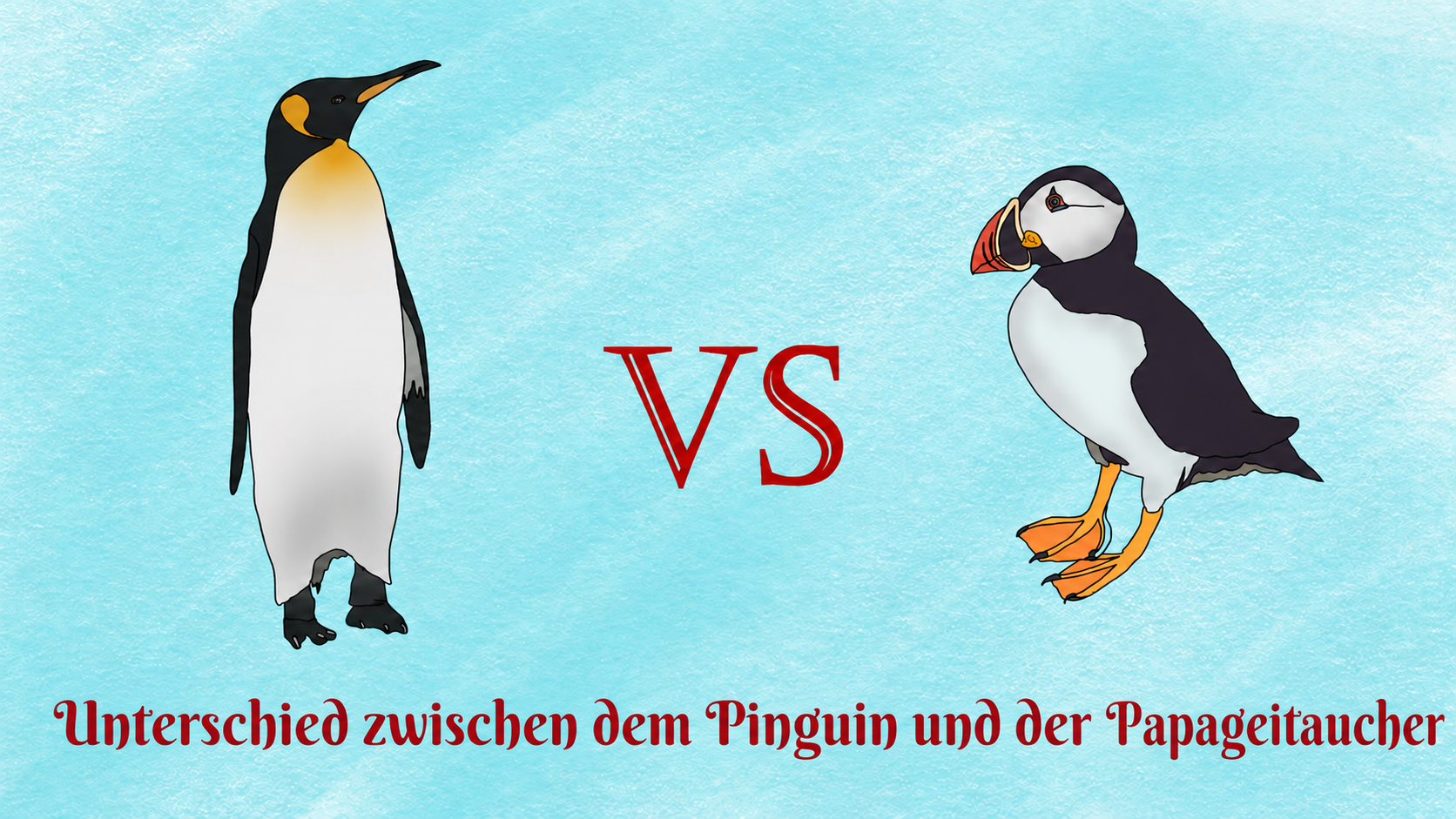 Sind Papageientaucher mit Pinguinen verwandt? 7 Unterschiede