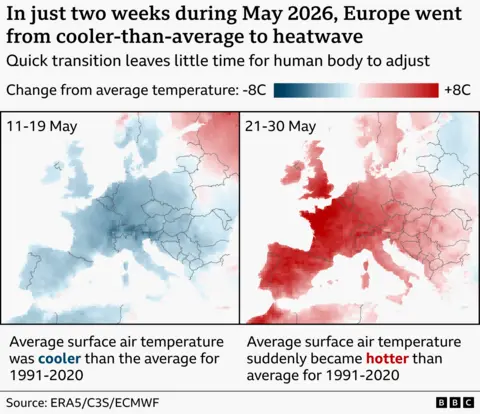 Wie Sie Vögeln bei der europäischen Hitzewelle 2026 helfen