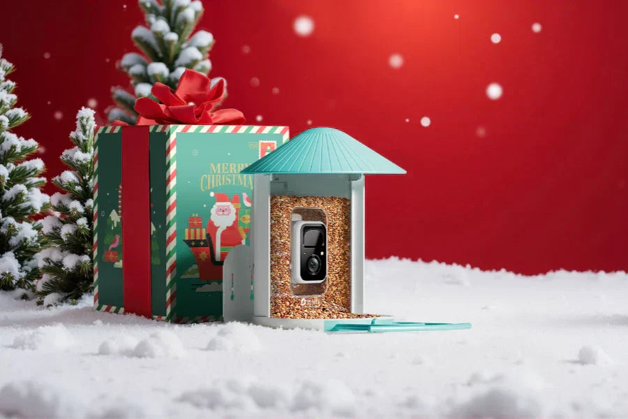 weihnachtsgeschenke oma und opa