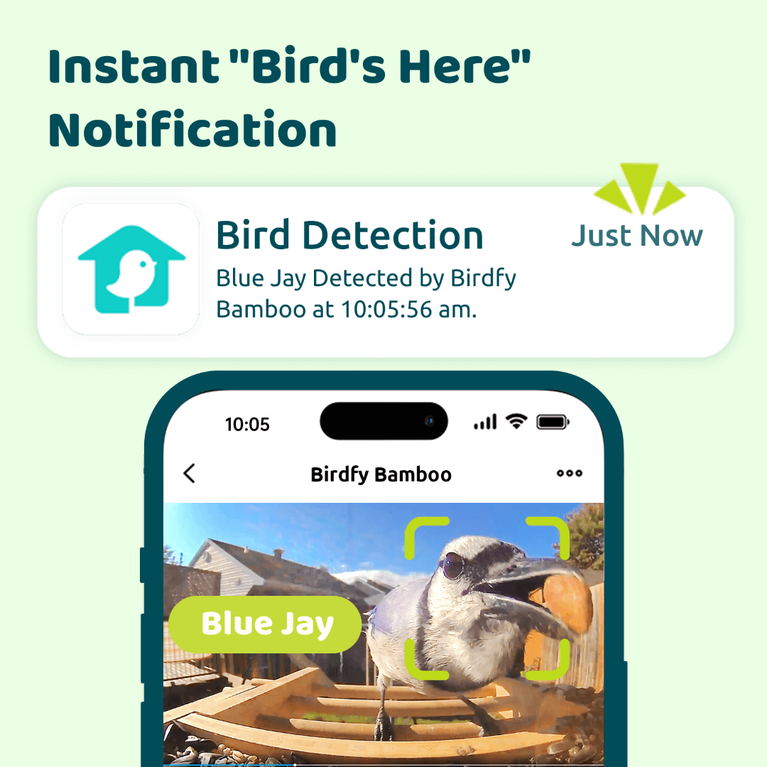 Birdfy Feeder Ebony - Intelligentes Vogelhaus aus Holz