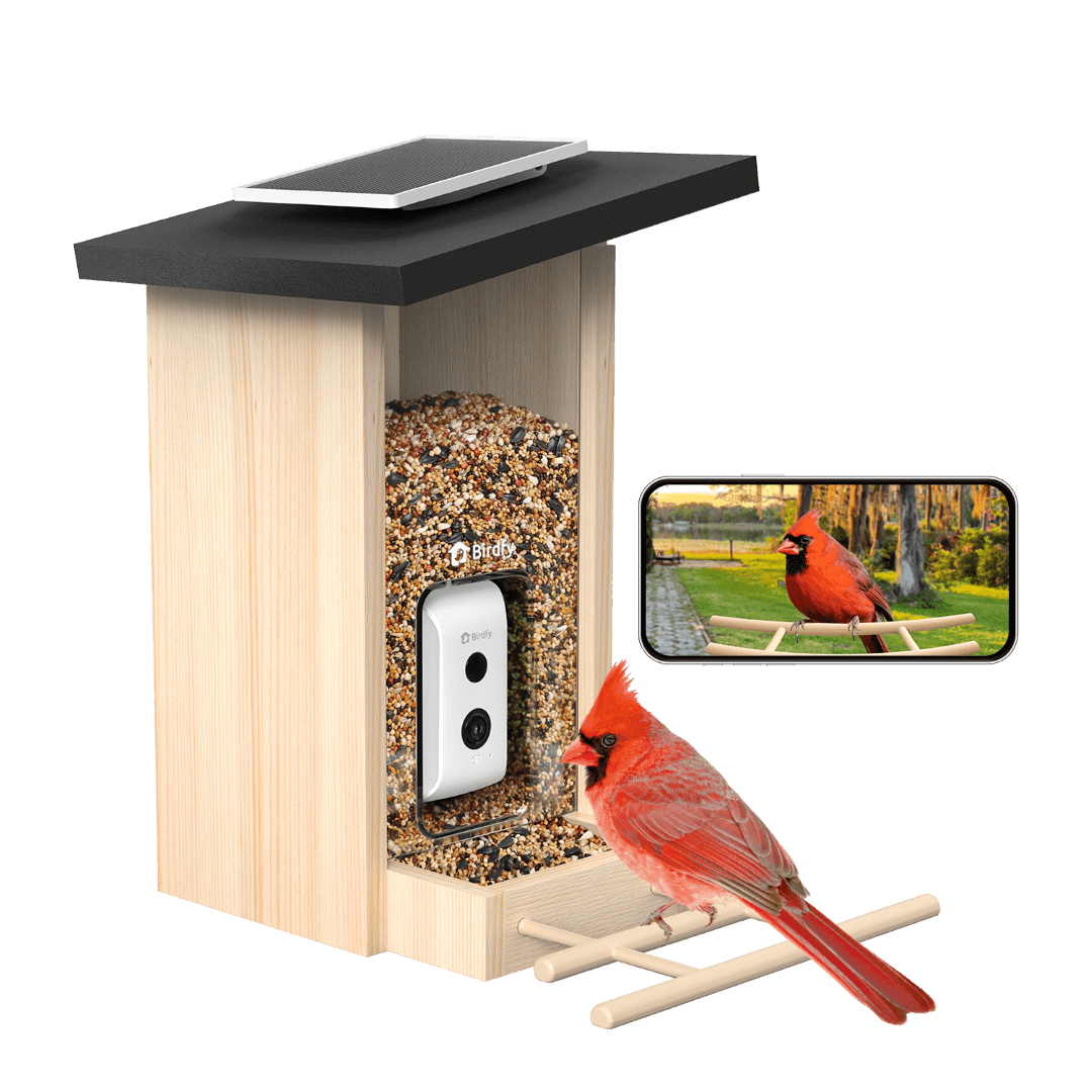 Birdfy Feeder Ebony - Intelligentes Vogelhaus aus Holz
