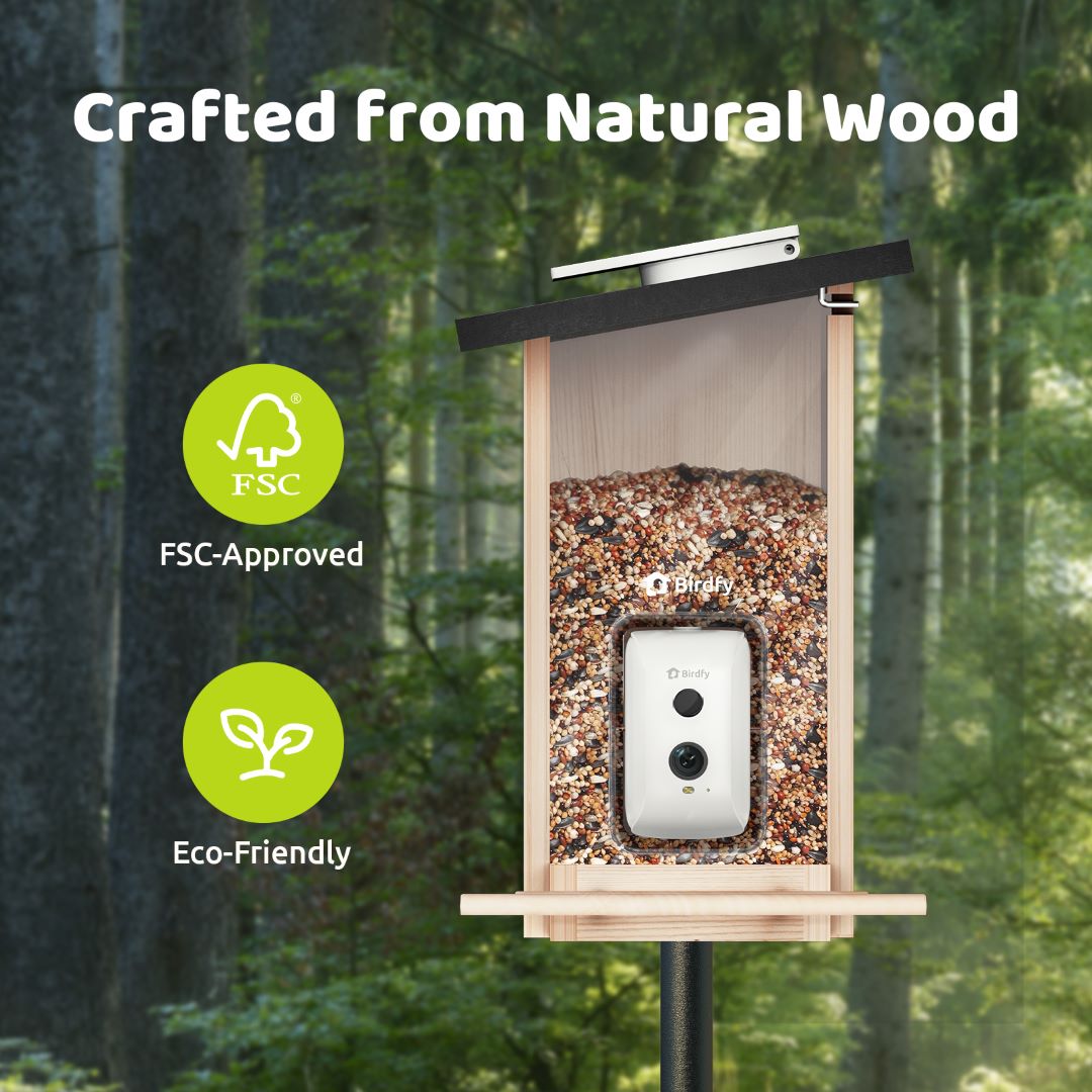 Birdfy Feeder Ebony - Intelligentes Vogelhaus aus Holz