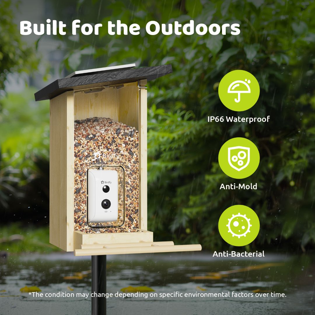 Birdfy Feeder Ebony - Intelligentes Vogelhaus aus Holz
