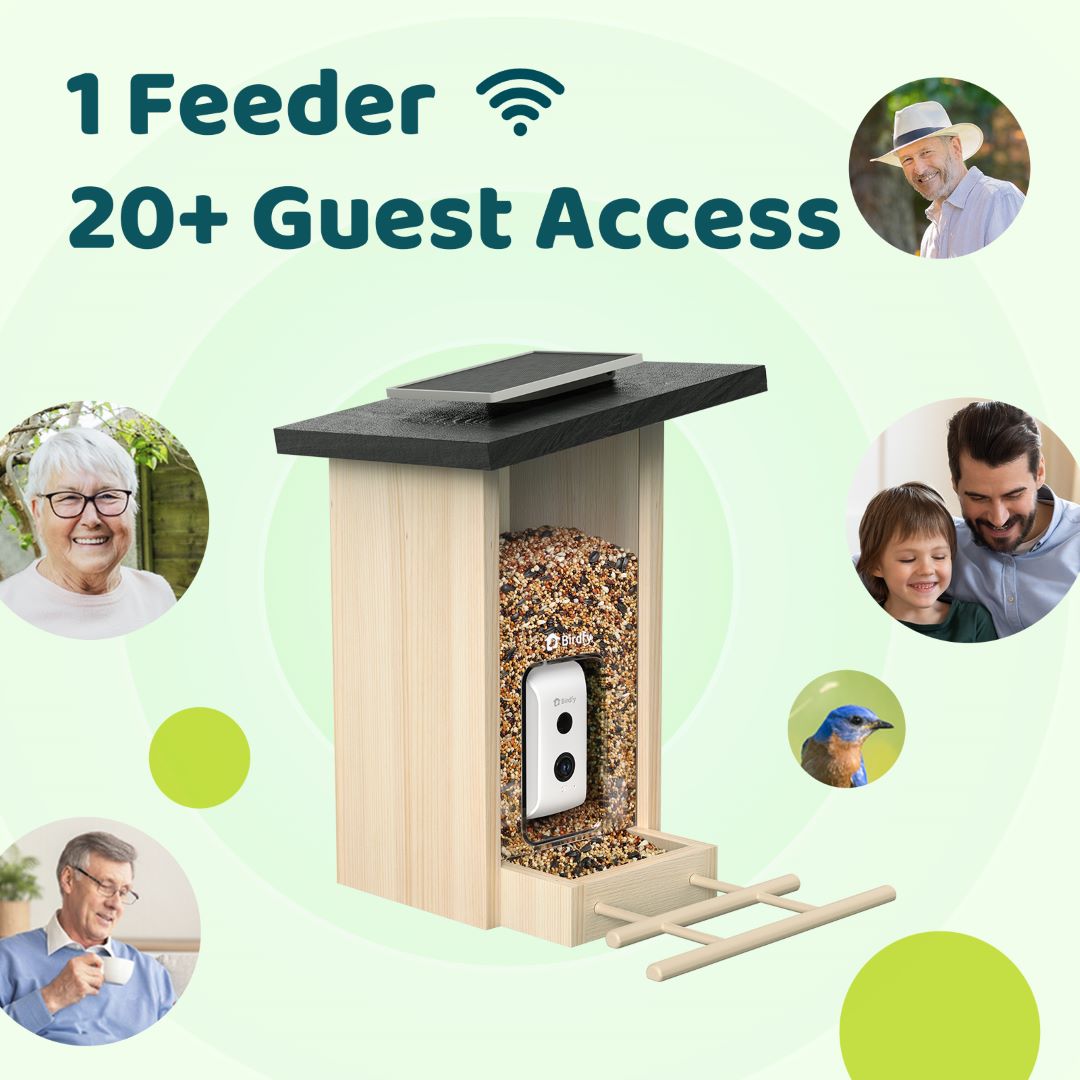 Birdfy Feeder Ebony - Intelligentes Vogelhaus aus Holz