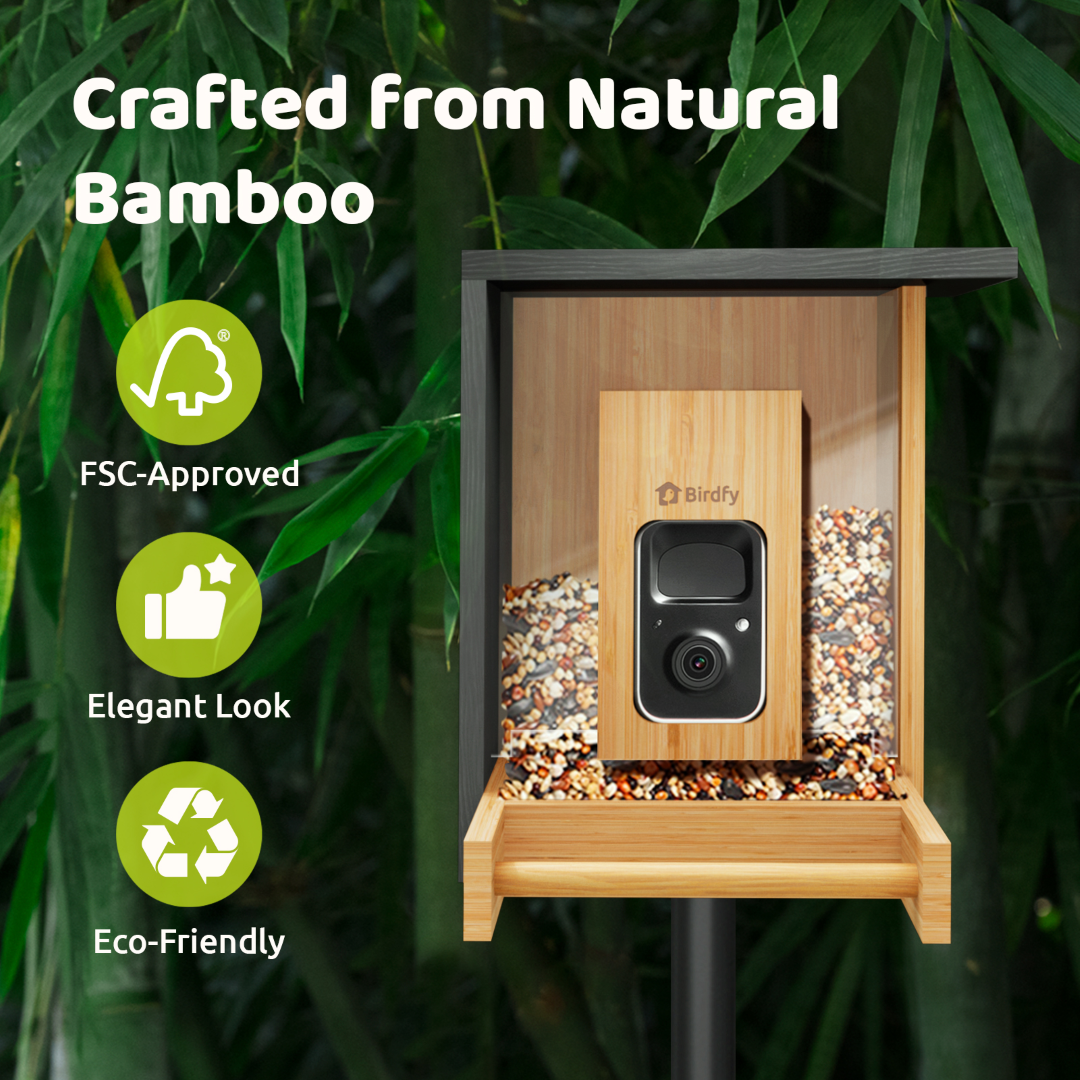 Birdfy Feeder Bamboo Mini - Bird Feeder mit Kamera