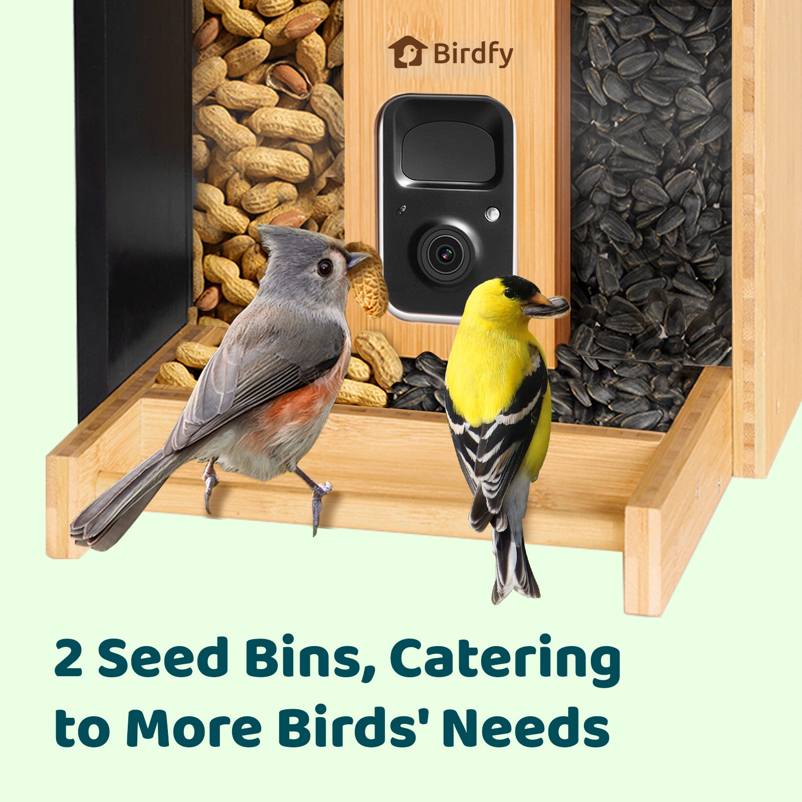 Birdfy Feeder Bamboo Mini - Bird Feeder mit Kamera