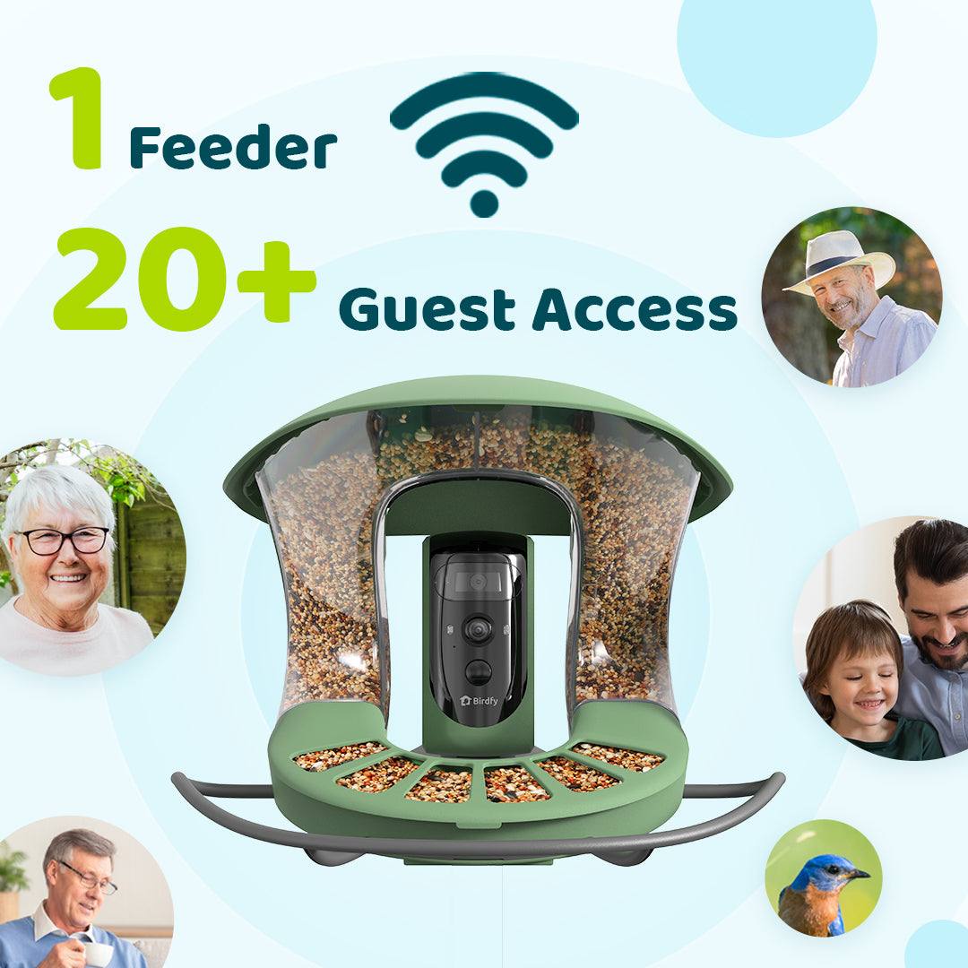 Birdfy Feeder 2 Pro - Bird Feeder Kamera