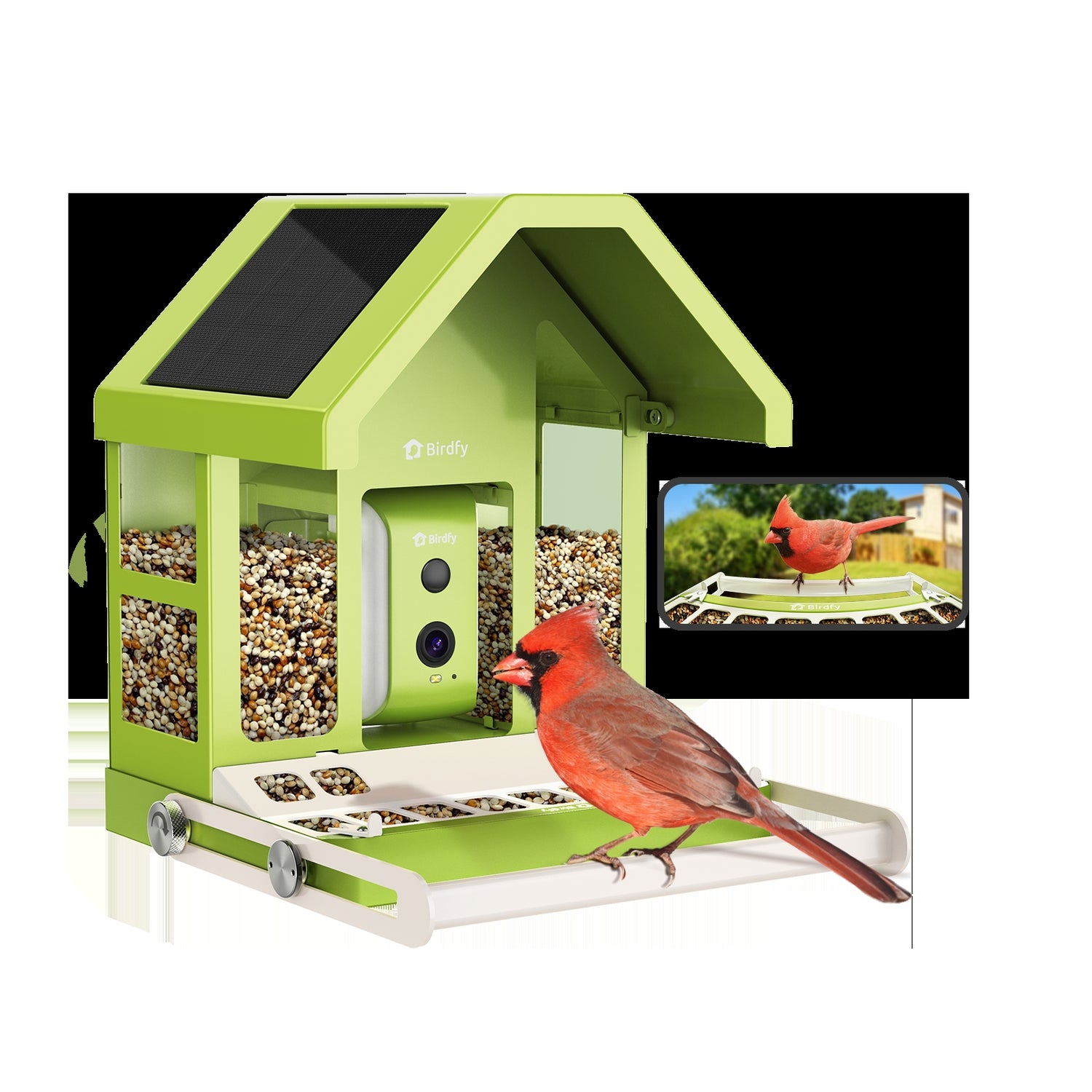 Birdfy Feeder Metal