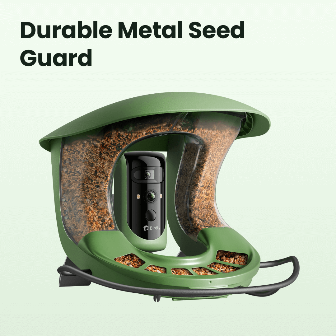 Birdfy Metal Seed Guard - Massivmetall-Schutzhaube – Exklusiv für Birdfy Feeder 2-Serie