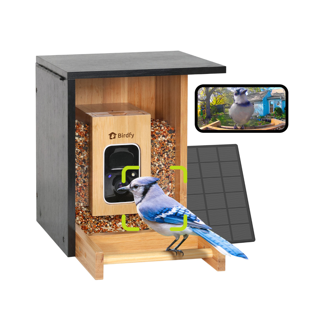 Birdfy Feeder Bamboo Mini - Bird Feeder mit Kamera