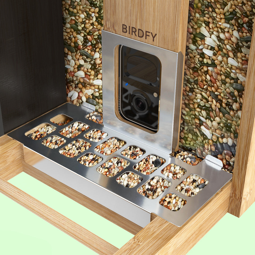 Metal Seed Guard & Add-Ons für Birdfy Feeder Bamboo