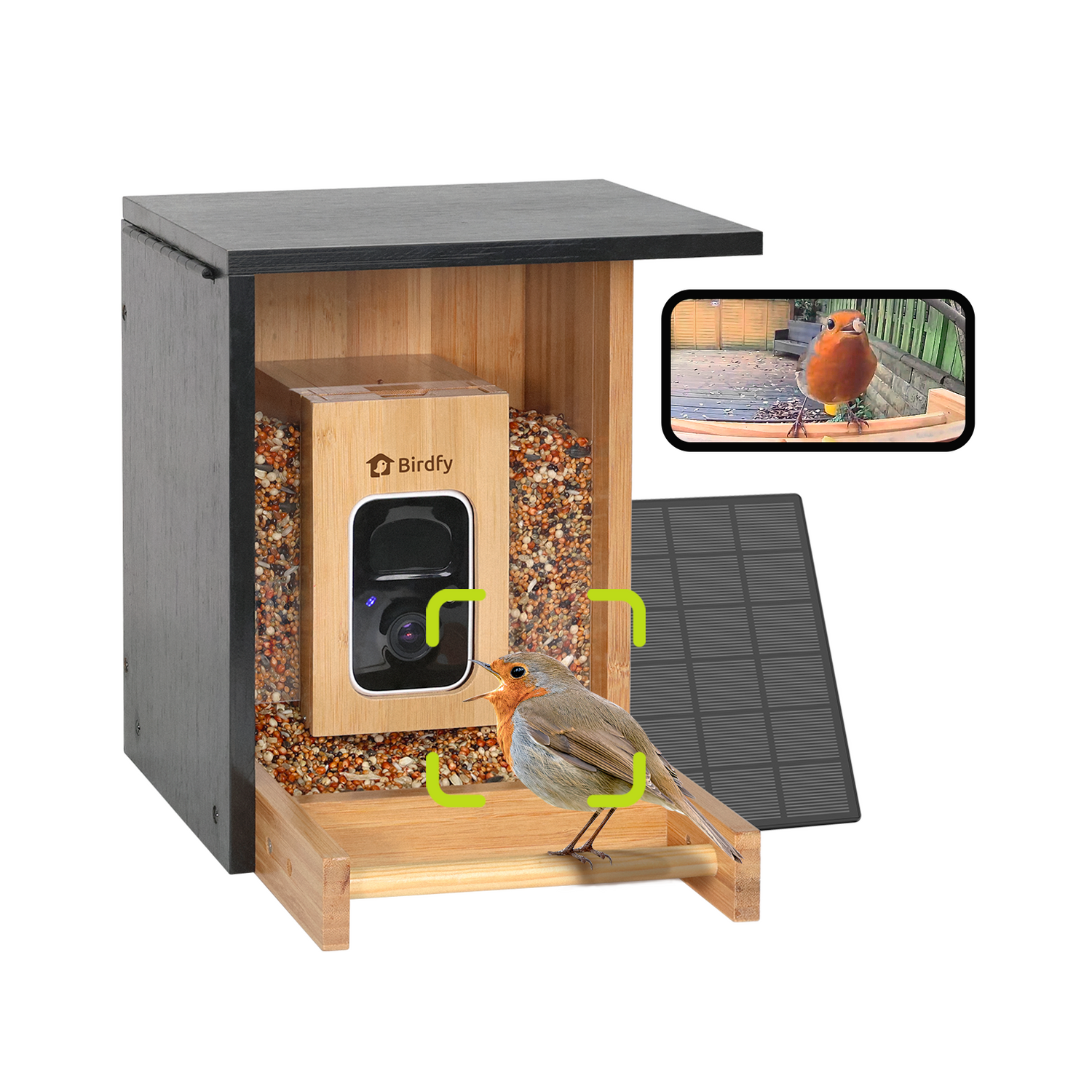 Birdfy Feeder Bamboo Mini - Bird Feeder mit Kamera