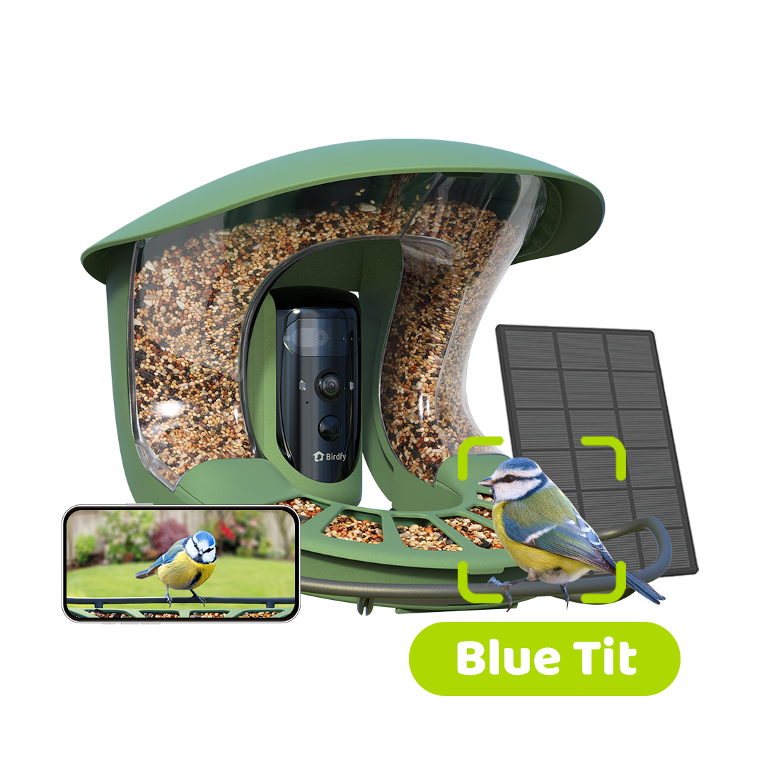 Birdfy Feeder 2 Pro - Bird Feeder Kamera