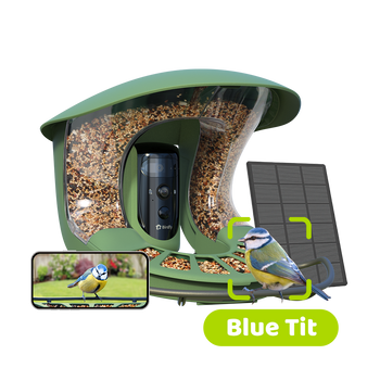 Birdfy Feeder 2 Duo