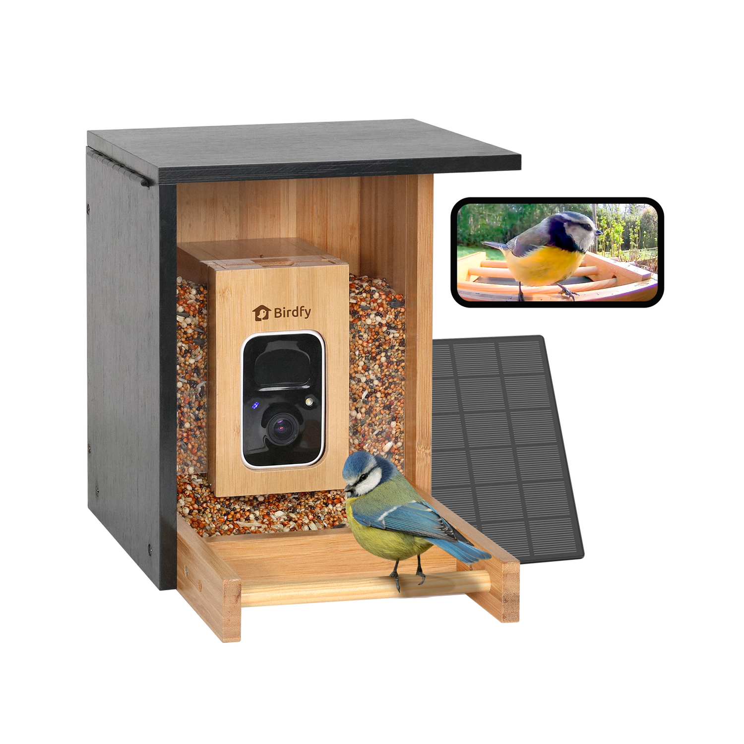 Birdfy Feeder Bamboo Mini - Bird Feeder mit Kamera