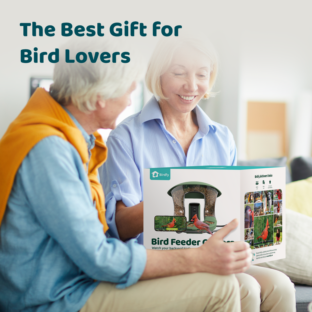Birdfy Feeder 2 - Smart Bird Feeder