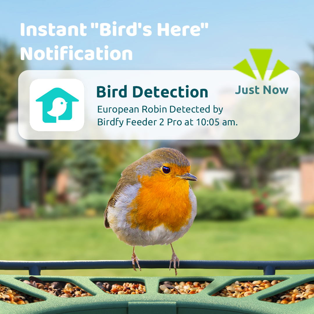 Birdfy Feeder 2 - Smart Bird Feeder