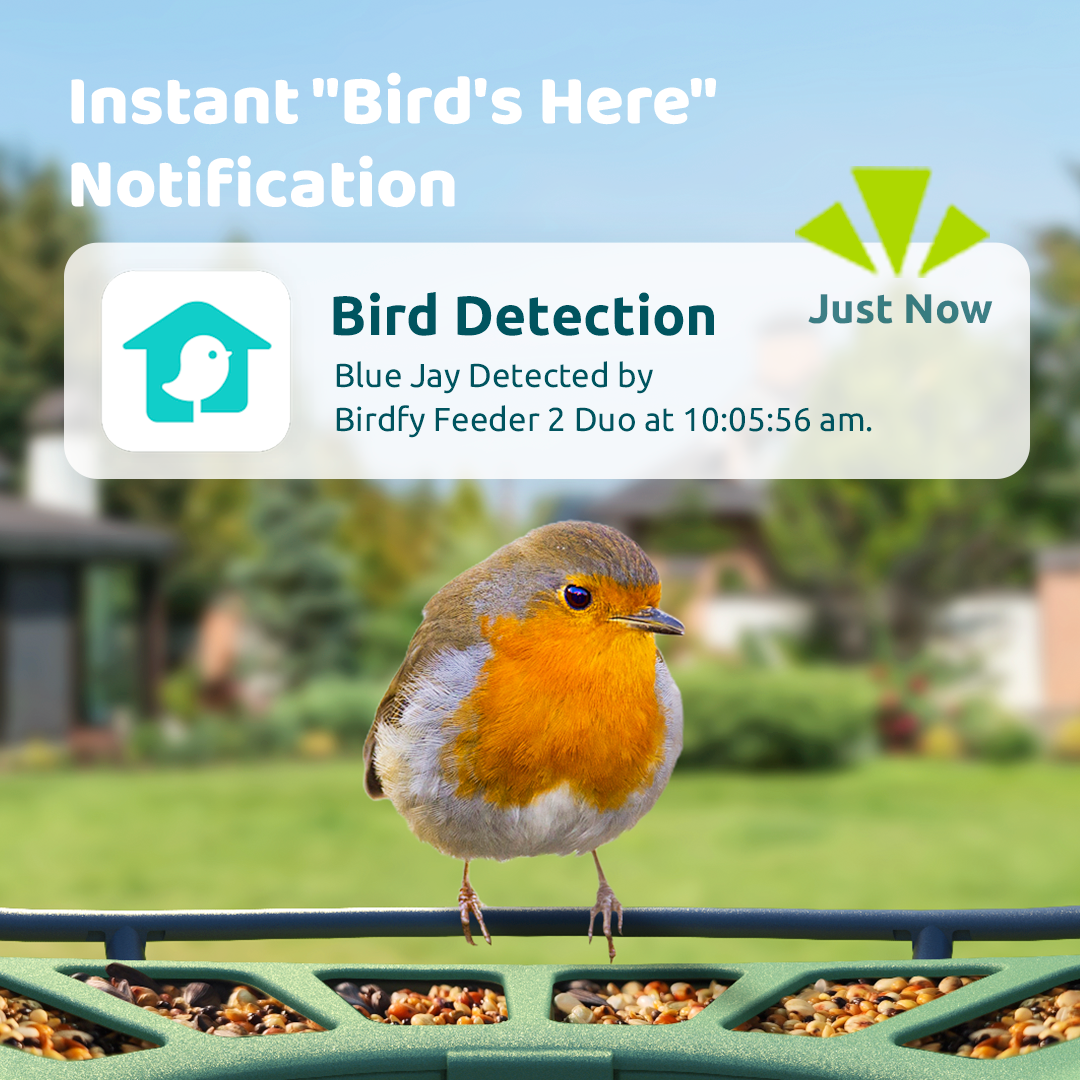 Birdfy Feeder 2 Duo - Bird Feeder with Kamera