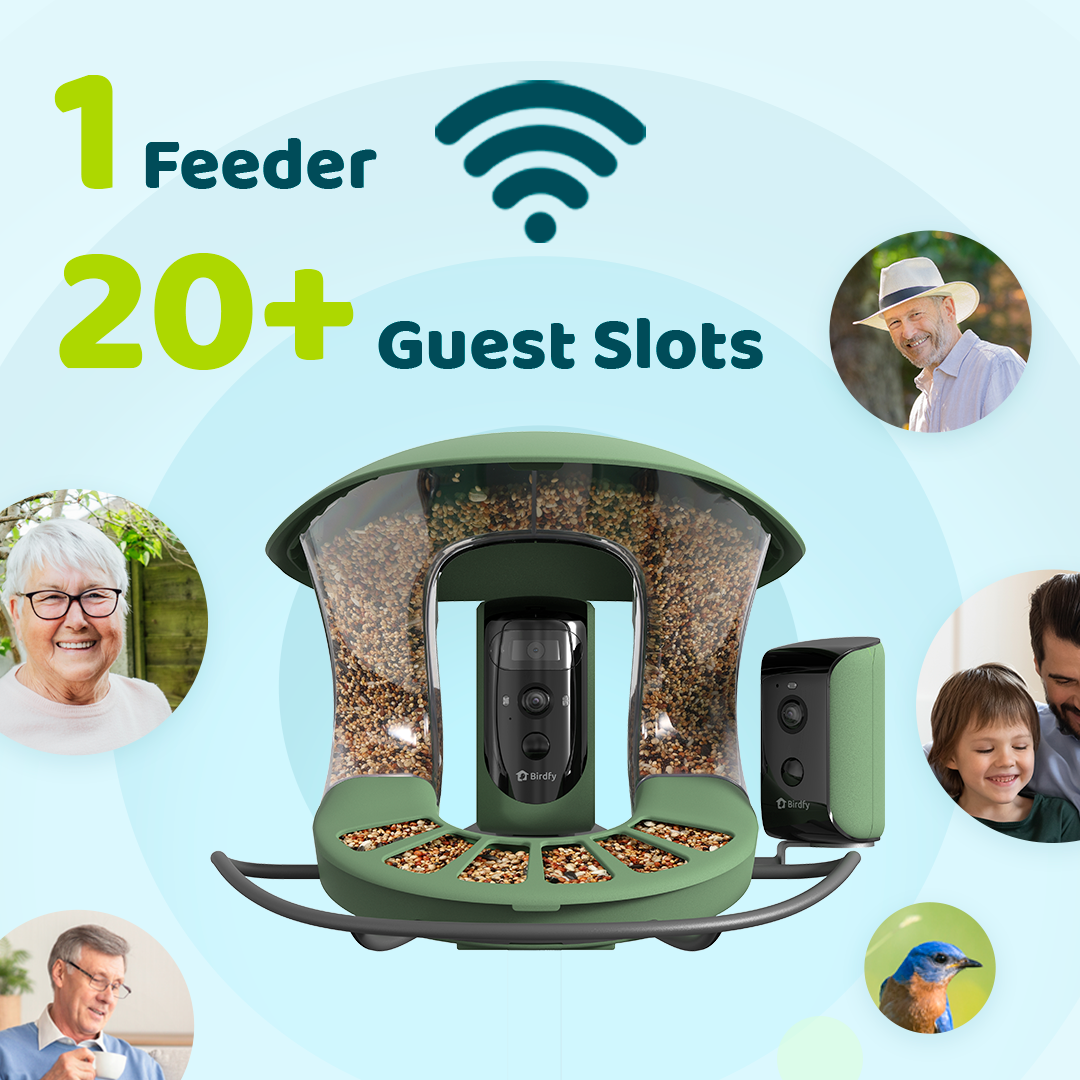 Birdfy Feeder 2 Duo - Bird Feeder with Kamera