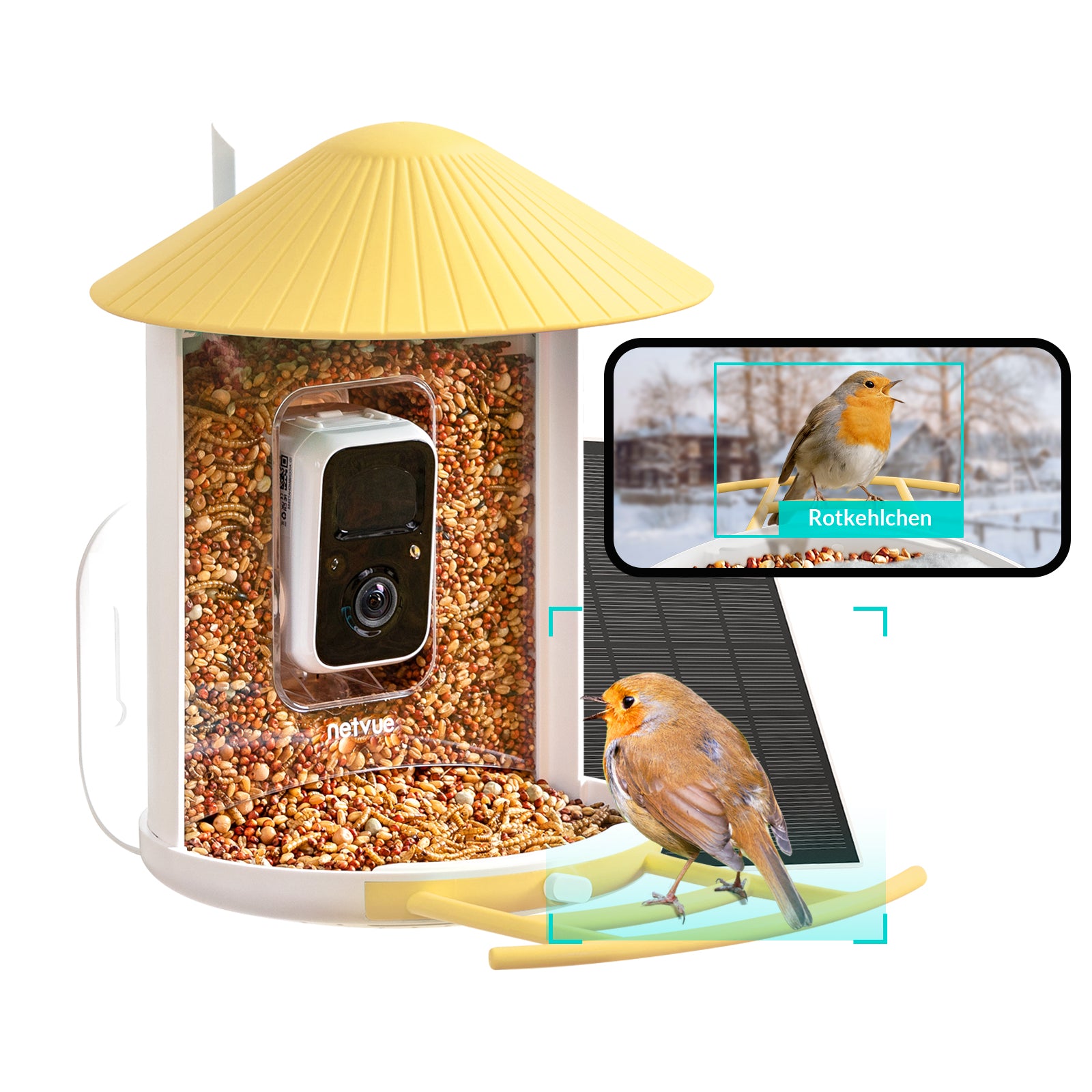 Birdfy Feeder Lite- Vogelfutterstation mit Kamera automatische Aufnahme von Vogelvideos