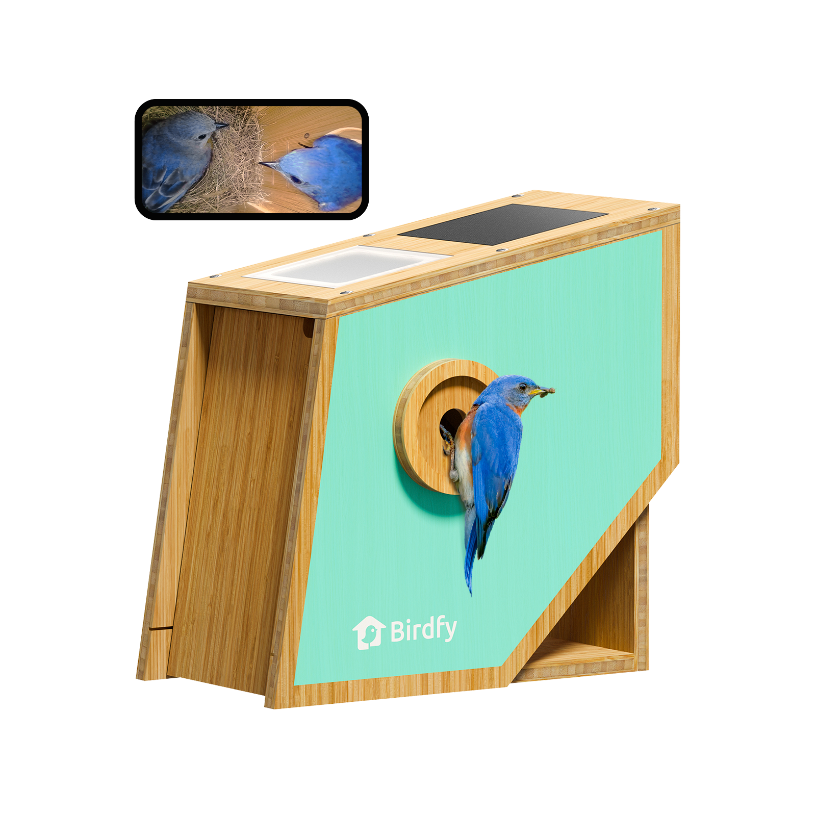 Birdfy Nest Polygon - Intelligentes Vogelhaus mit Kamera