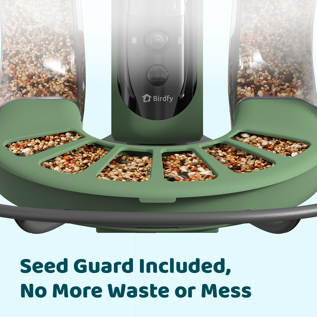 Birdfy Feeder 2 Duo - Bird Feeder with Kamera