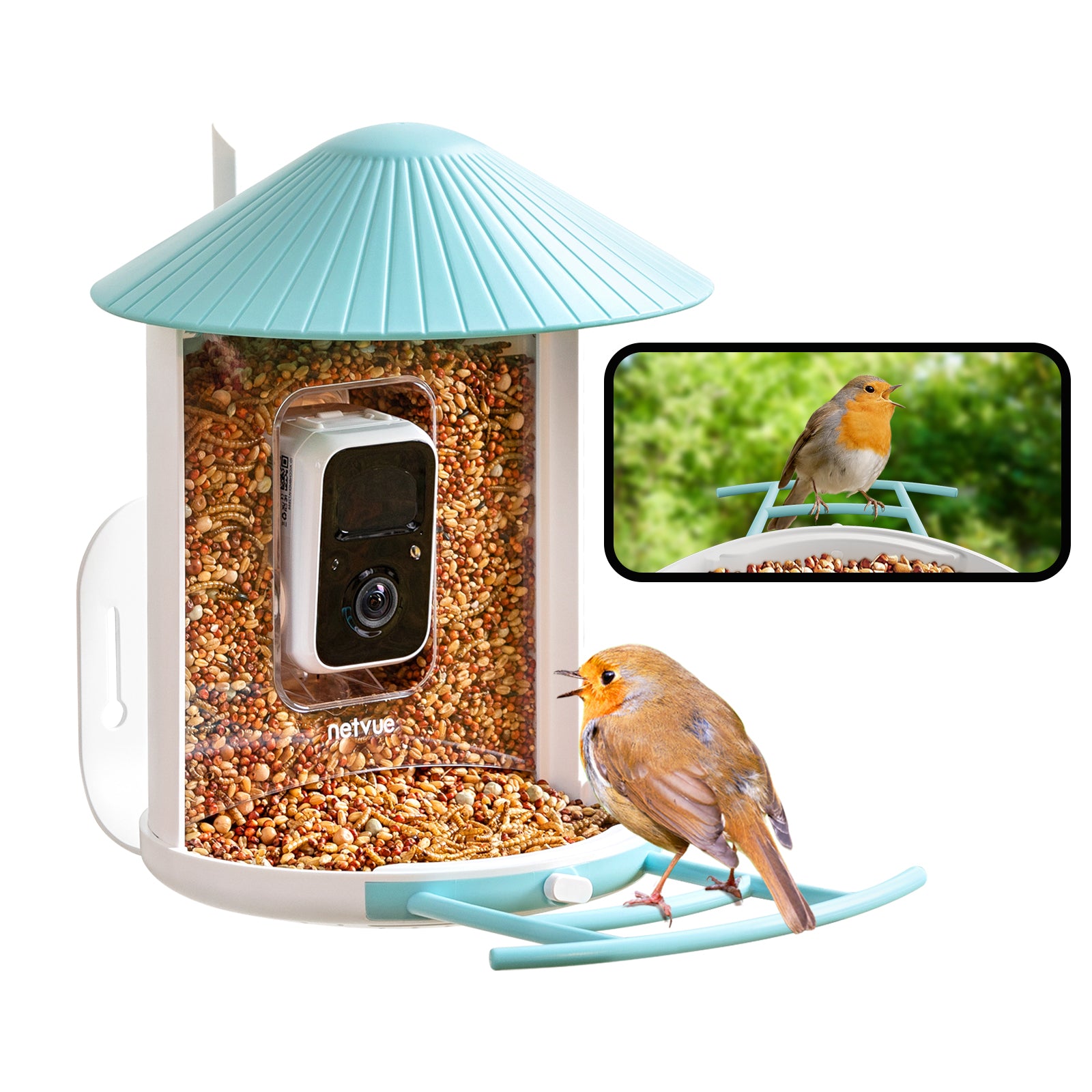 Birdfy Feeder Lite- Vogelfutterstation mit Kamera automatische Aufnahme von Vogelvideos