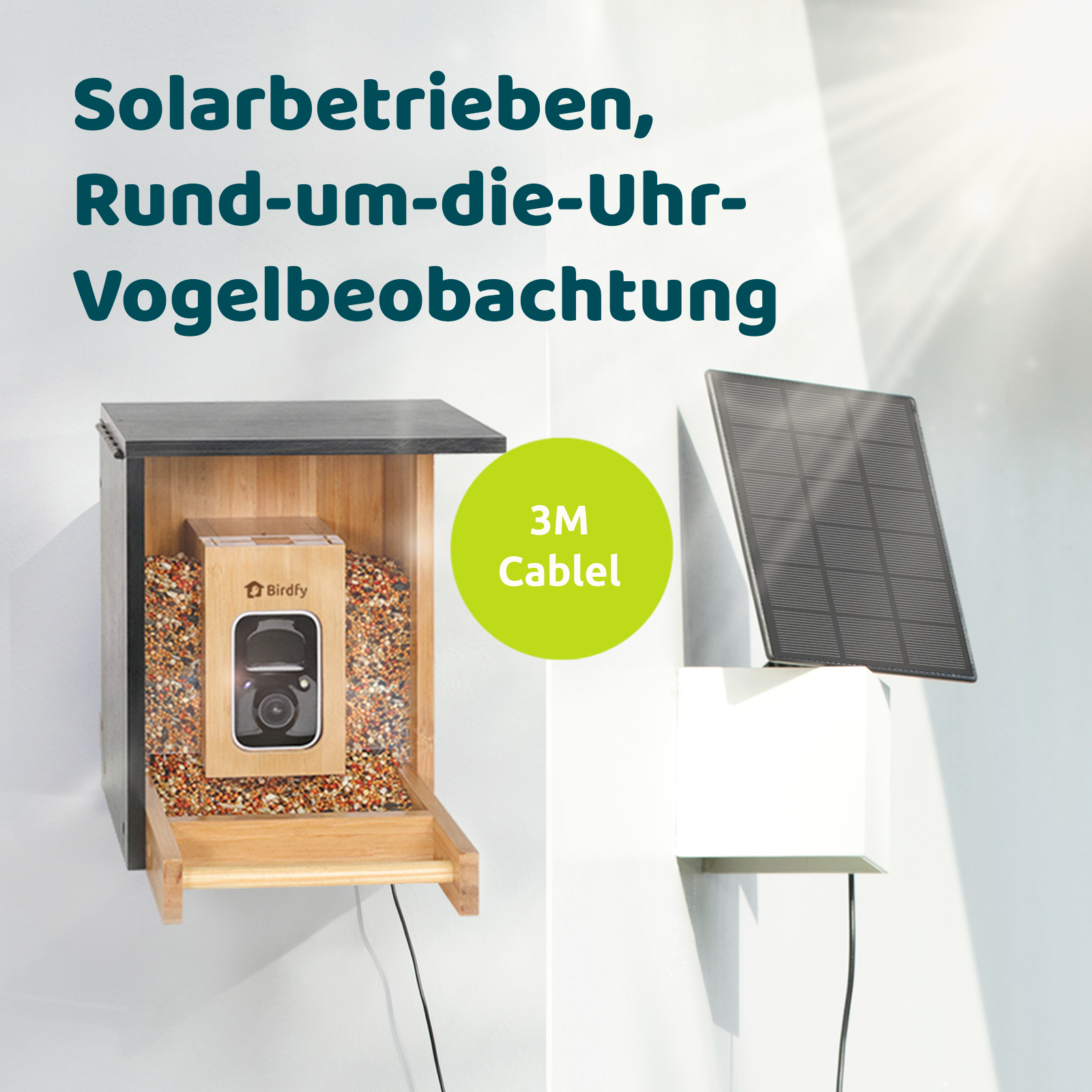 Birdfy Feeder Bamboo Mini - Ökologischer Vogel-Fütterer mit Kamera