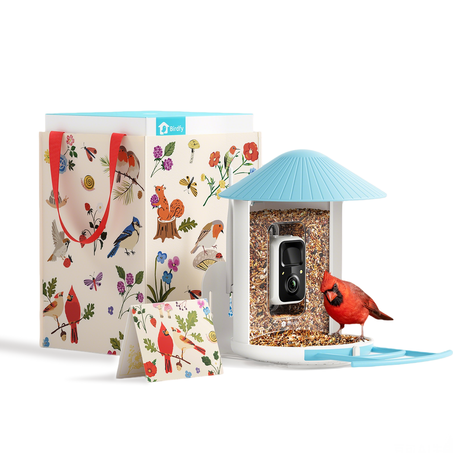 Birdfy Feeder - Geschenkpaket