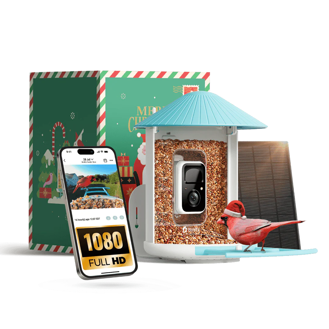 Birdfy Feeder - FutterHaus Vögel mit Kamera und Solarpanel