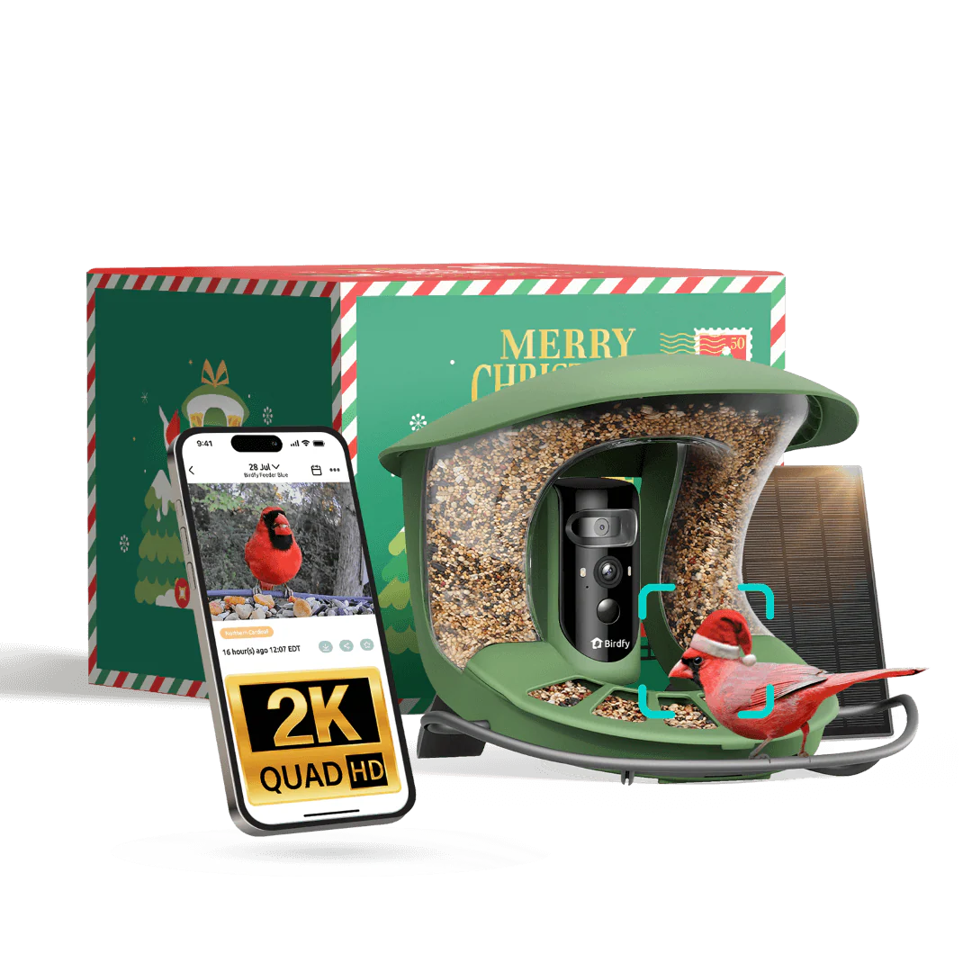 Birdfy Feeder 2 Pro - Vogel Futterhaus mit Kamera