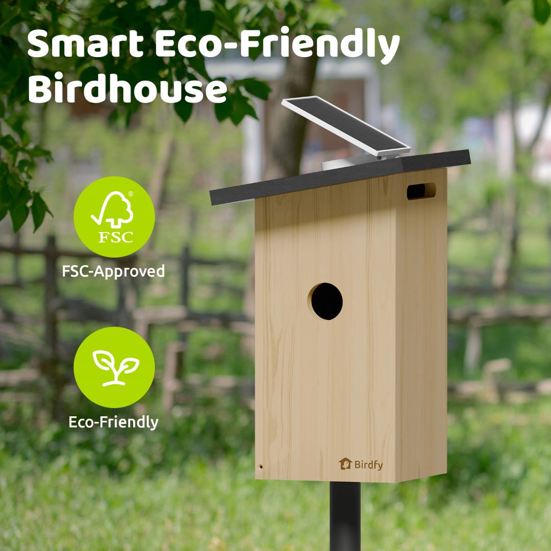 Birdfy Nest Ebony – Holzerne Smart-Vogelhaus