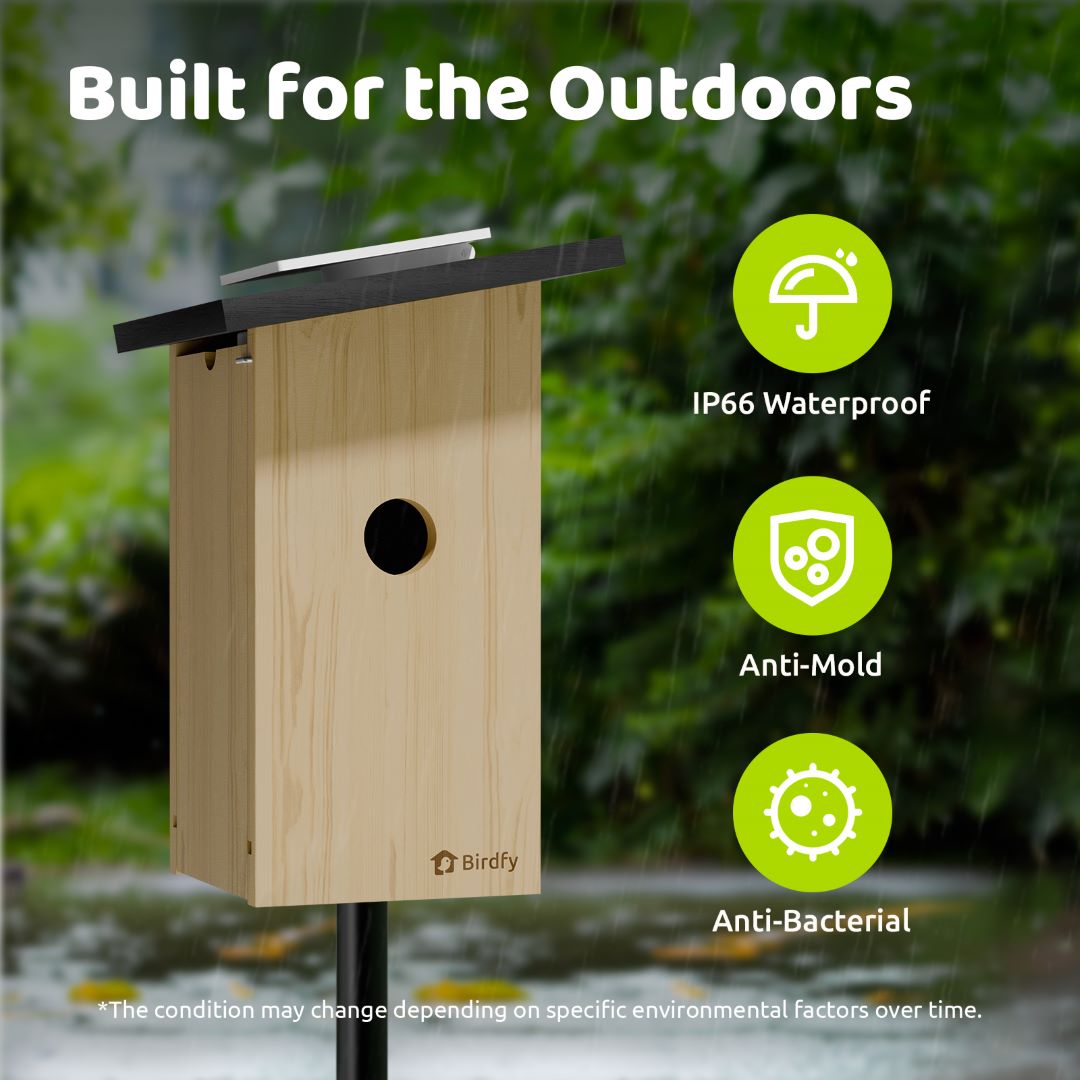 Birdfy Nest Ebony – Holzerne Smart-Vogelhaus