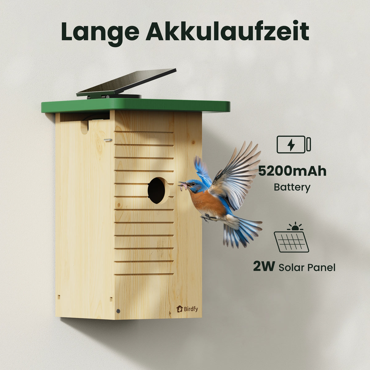 Birdfy Nest Wood – Holzerne Smart-Vogelhaus
