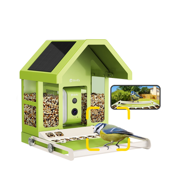 Birdfy Feeder Metal