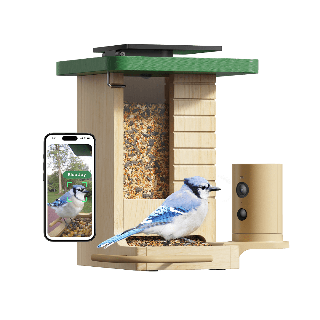 Birdfy Feeder Wood – Holziger Smart-Fütterer mit Kamera