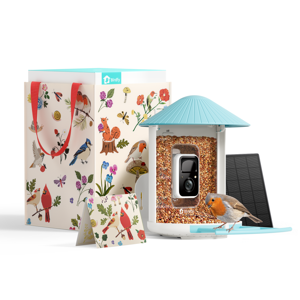 Birdfy Feeder - Geschenkpaket