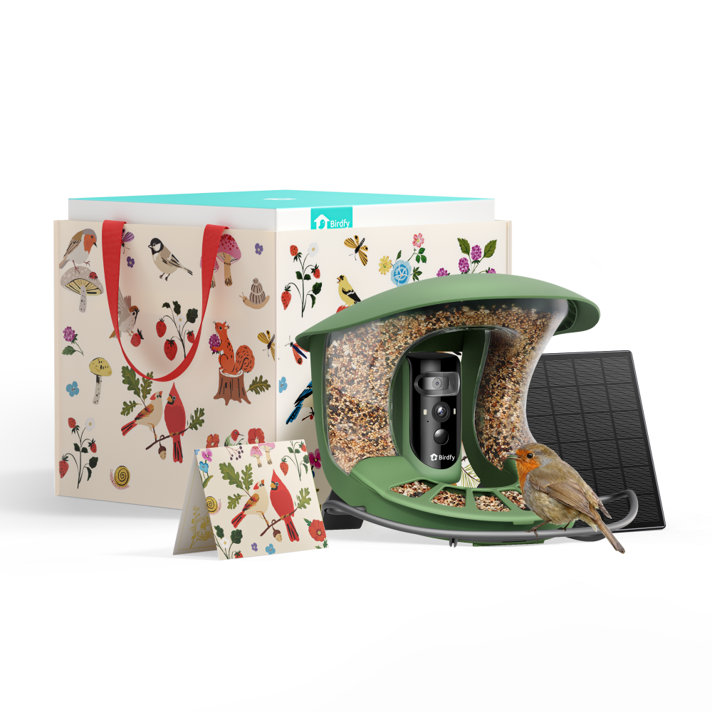 Birdfy Feeder 2 Pro - Vogel Futterhaus mit Kamera (Geschenkpaket)