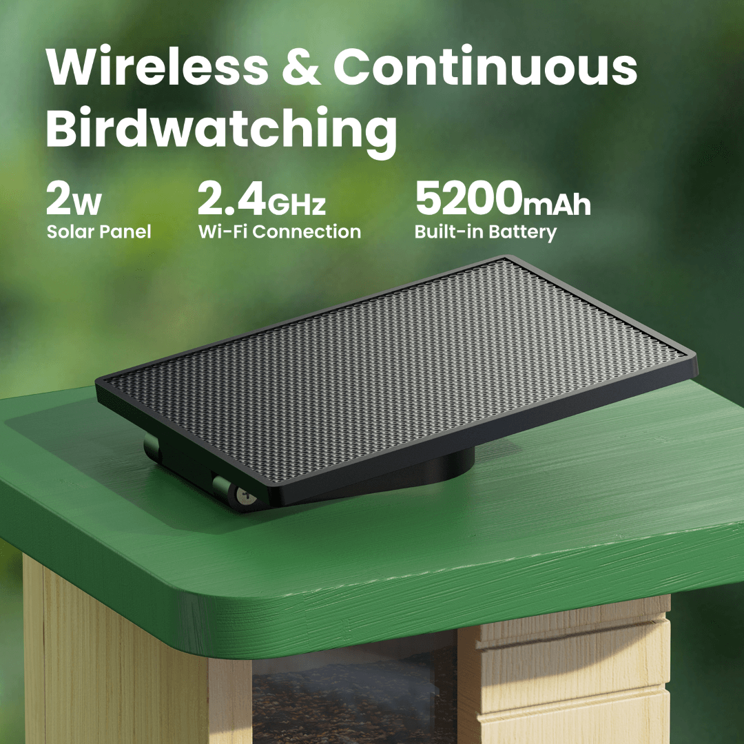 Birdfy Feeder Wood – Holziger Smart-Fütterer mit Kamera