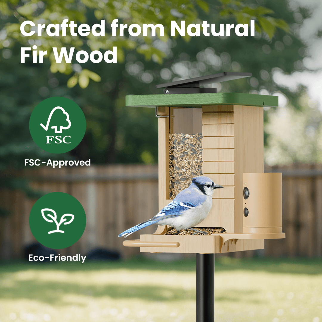 Birdfy Feeder Wood – Holziger Smart-Fütterer mit Kamera