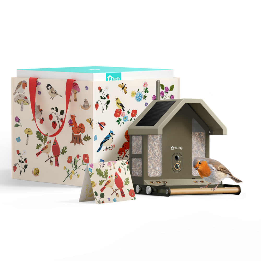 Birdfy Feeder Metal 2 - Nagesicheres Metall‑Vogelhäuschen 4K (Geschenkpaket)