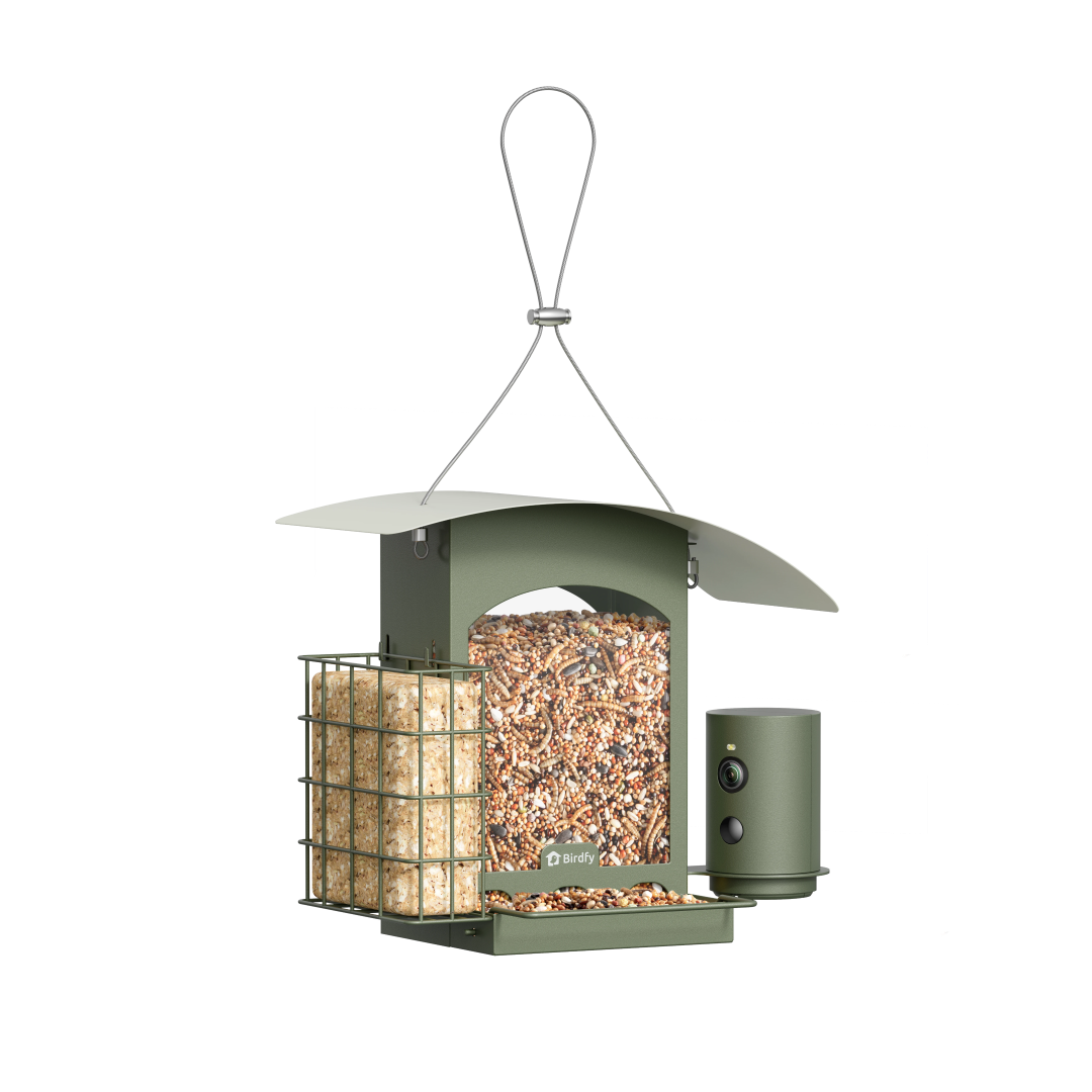 Birdfy Feeder Metal A - Vogel Futterhaus mit Kamera