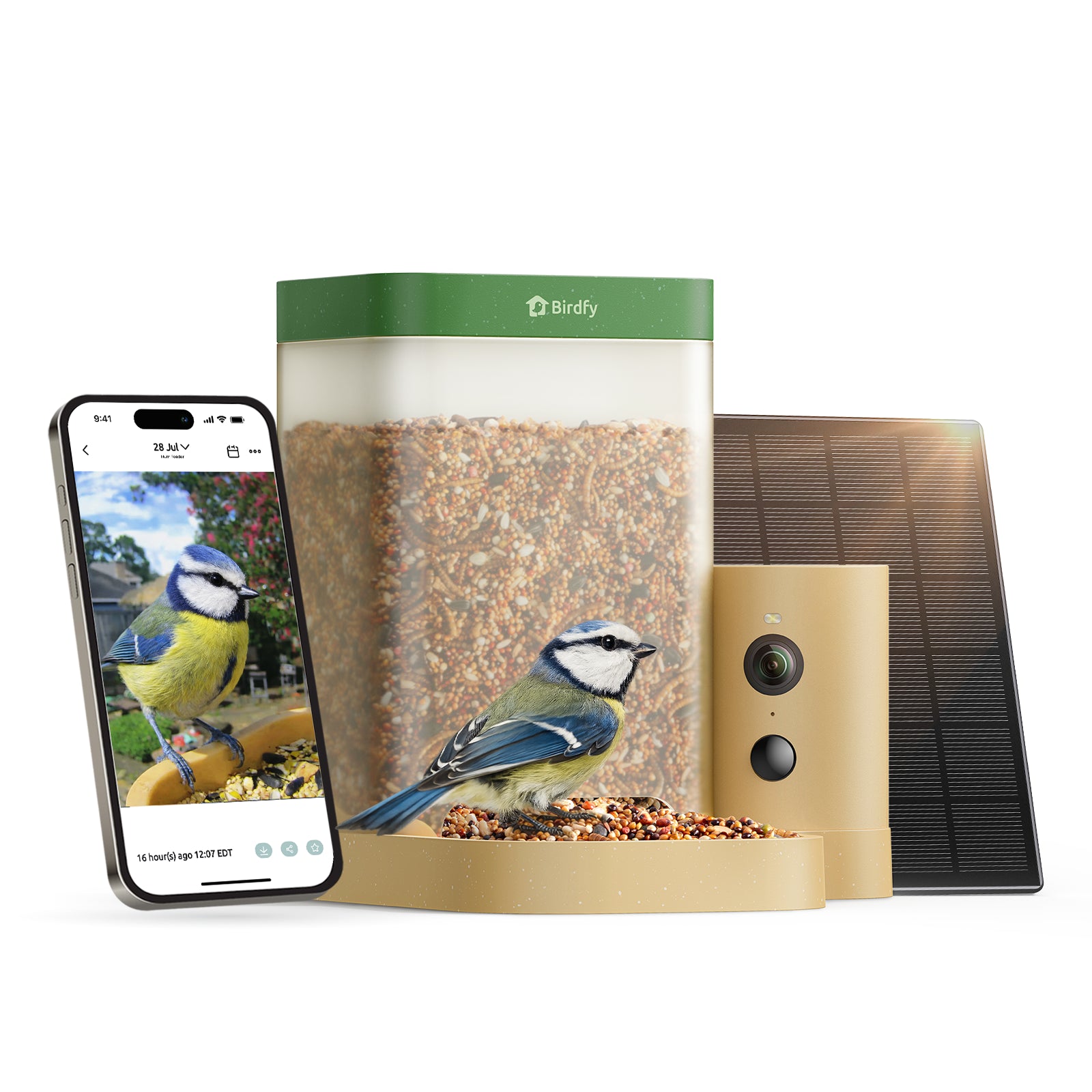 Birdfy Feeder Rookie - Einstiegsfreundlicher Smart-Vogelfutterspender